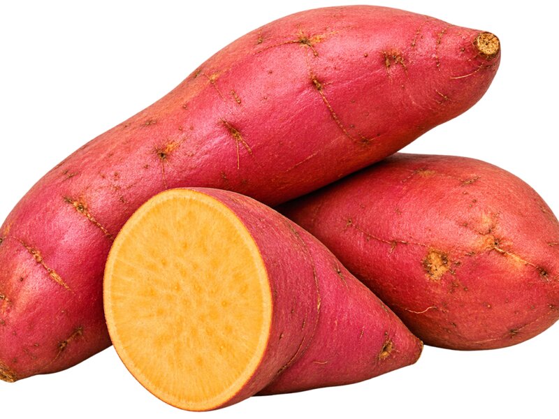 Fresh Jamaican Sweet Potato for wholesale and export supply