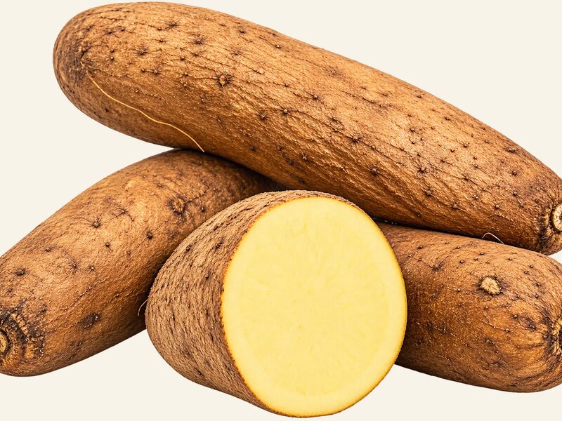 Fresh Jamaican Yam for wholesale and export supply